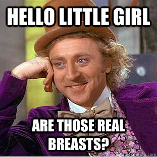 Hello little girl  are those real breasts?  Condescending Wonka