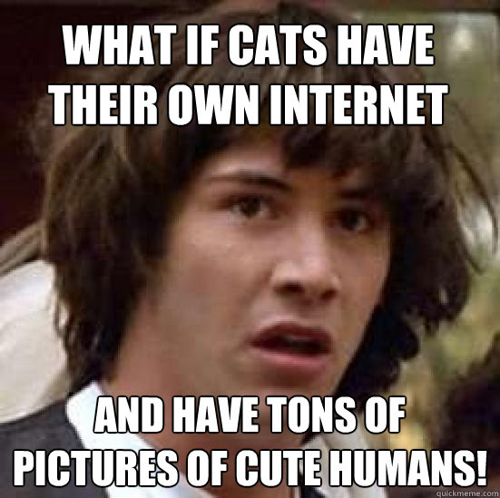 what if cats have their own internet and have tons of pictures of cute humans!  conspiracy keanu