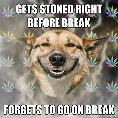 Gets stoned right before break forgets to go on break  Stoner Dog