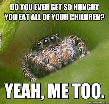 Do you ever get so hungry you eat all of your children? Yeah, me too. - Do you ever get so hungry you eat all of your children? Yeah, me too.  Misunderstood Spider