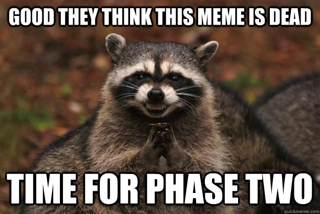 Good they think this meme is dead time for phase two   Evil Plotting Raccoon