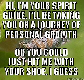 HI, I'M YOUR SPIRIT GUIDE. I'LL BE TAKING YOU ON A JOURNEY OF PERSONAL GROWTH OR YOU COULD JUST HIT ME WITH YOUR SHOE, I GUESS Misunderstood Spider