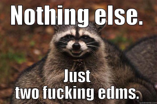 NOTHING ELSE. JUST TWO FUCKING EDMS. Evil Plotting Raccoon