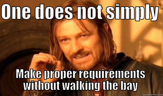 ONE DOES NOT SIMPLY  MAKE PROPER REQUIREMENTS WITHOUT WALKING THE BAY Boromir