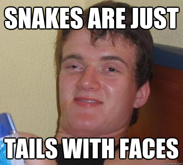 snakes are just tails with faces  10 Guy