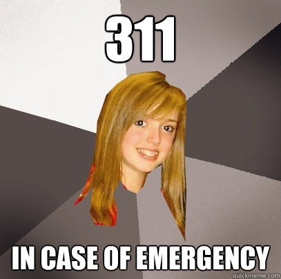 311 In case of emergency  Musically Oblivious 8th Grader