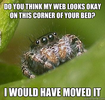 do you think my web looks okay on this corner of your bed? i would have moved it - do you think my web looks okay on this corner of your bed? i would have moved it  Misunderstood Spider