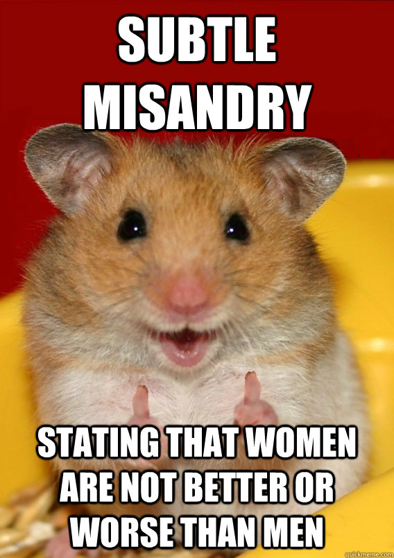 subtle misandry Stating that women are not better or worse than men   Rationalization Hamster