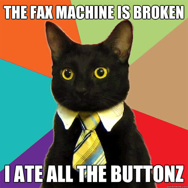 the fax machine is broken i ate all the buttonz  Business Cat