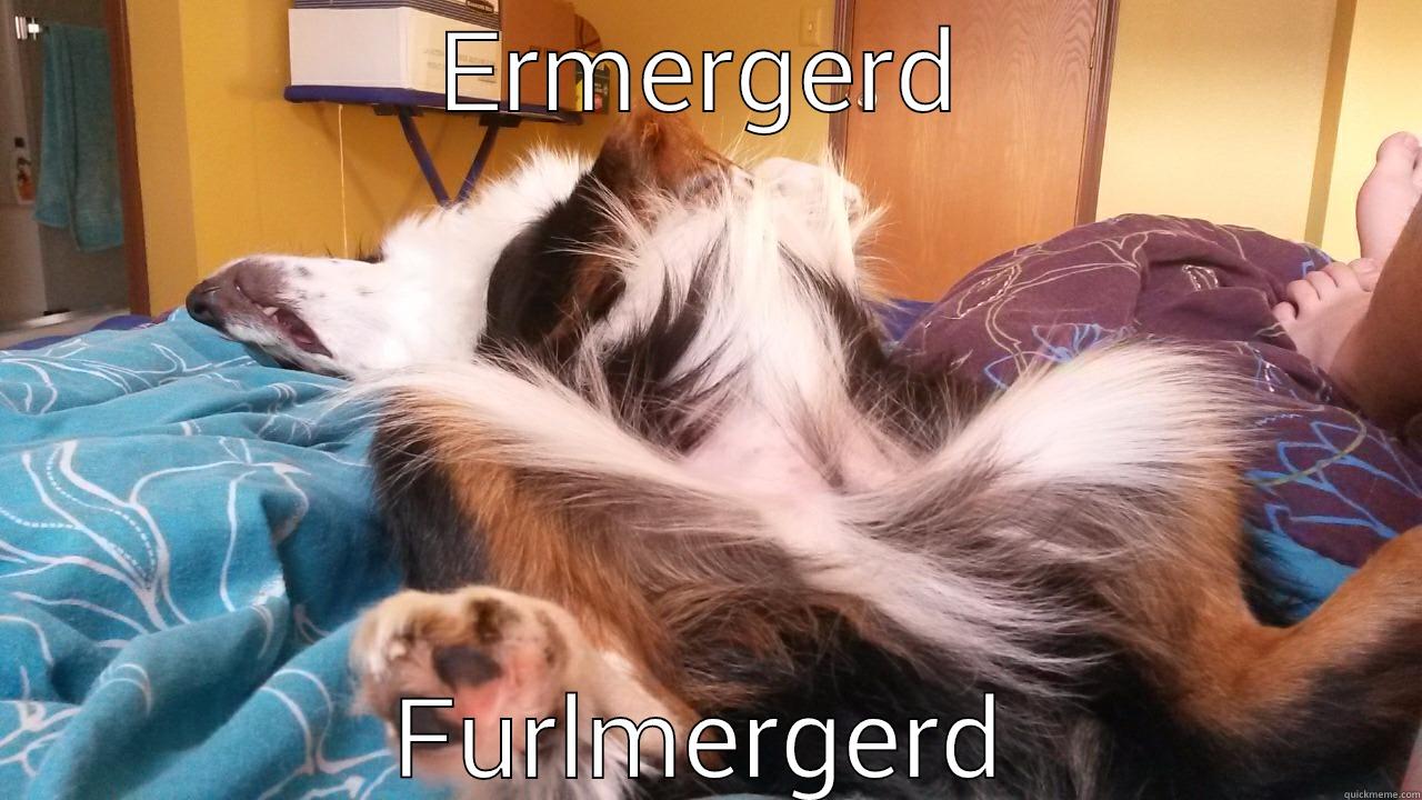 ERMERGERD FURLMERGERD Misc