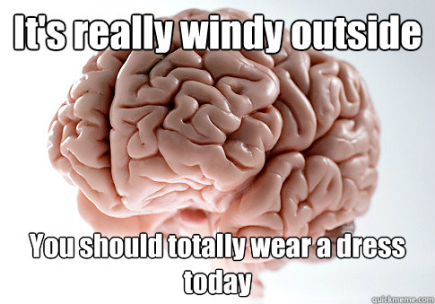 It's really windy outside You should totally wear a dress today  Scumbag Brain