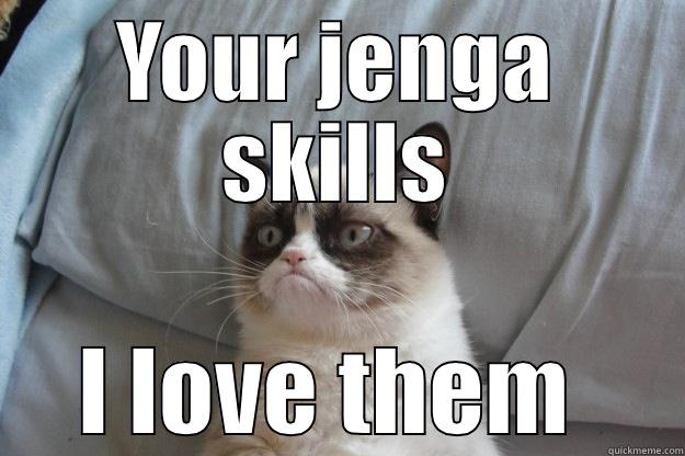 YOUR JENGA SKILLS I LOVE THEM  Grumpy Cat