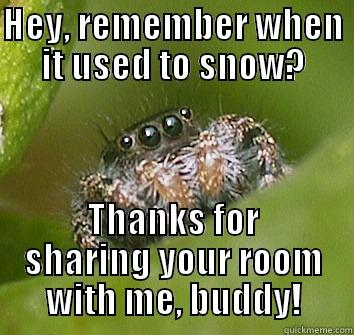   - HEY, REMEMBER WHEN IT USED TO SNOW? THANKS FOR SHARING YOUR ROOM WITH ME, BUDDY! Misunderstood Spider