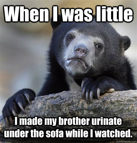 When I was little I made my brother urinate under the sofa while I watched.  Confession Bear