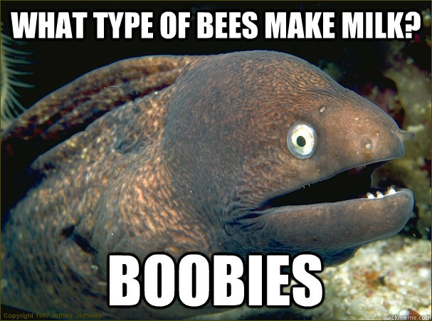 What type of bees make milk? Boobies  Bad Joke Eel