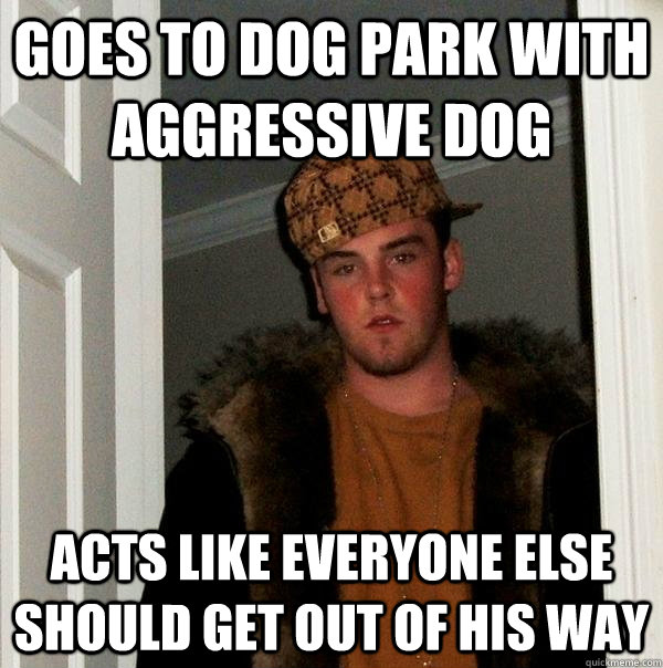 goes to dog park with aggressive dog acts like everyone else should get out of his way - goes to dog park with aggressive dog acts like everyone else should get out of his way  Scumbag Steve