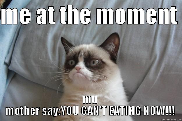 ME AT THE MOMENT  MU MOTHER SAY:YOU CAN'T EATING NOW!!! Grumpy Cat