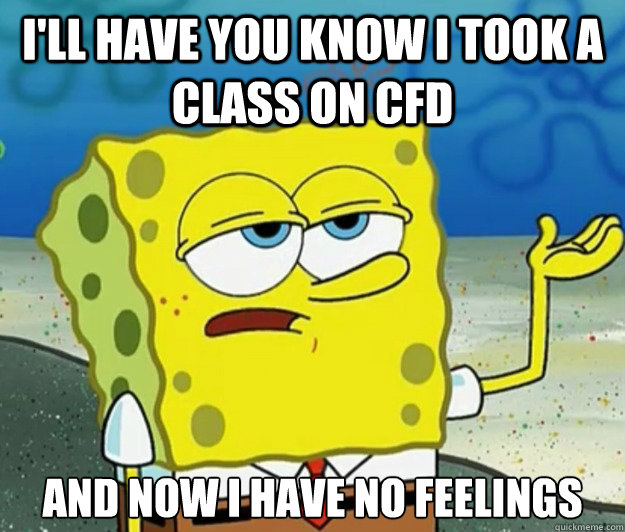 I'll have you know i took a class on cfd and now i have no feelings  Tough Spongebob