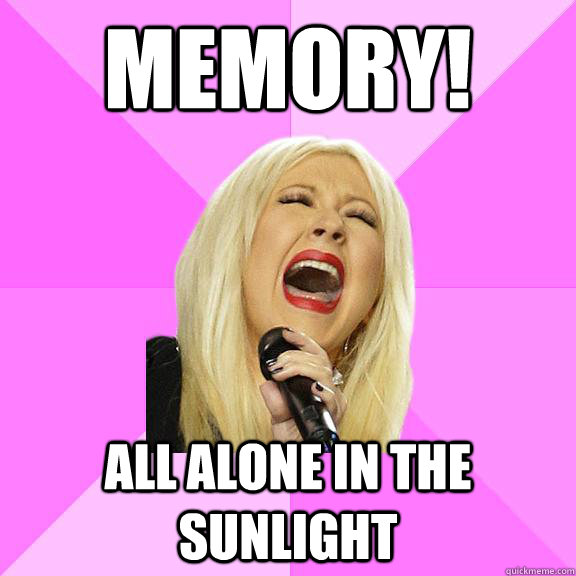 MEMORY! ALL ALONE IN THE SUNLIGHT  Wrong Lyrics Christina