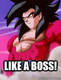  LIKE A BOSS!  