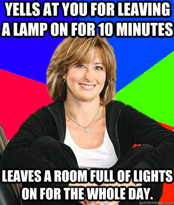 Yells at you for leaving a lamp on for 10 minutes  Leaves a room full of lights on for the whole day. - Yells at you for leaving a lamp on for 10 minutes  Leaves a room full of lights on for the whole day.  Sheltering Suburban Mom