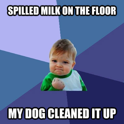 SPILLED MILK ON THE FLOOR MY DOG CLEANED IT UP  Success Kid