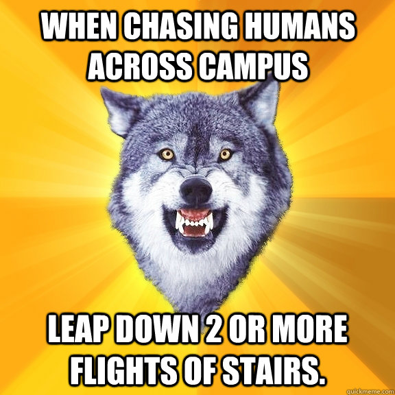 When chasing humans across campus leap down 2 or more flights of stairs.  Courage Wolf