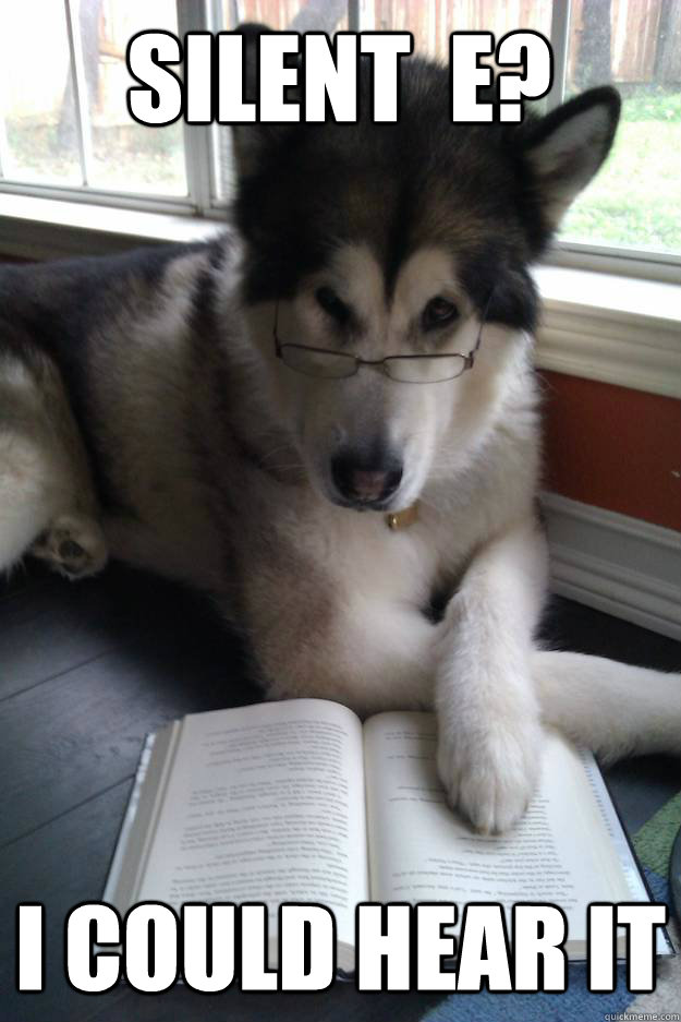 Silent  E? I could hear it  Condescending Literary Pun Dog