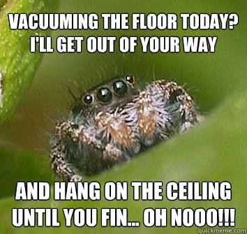 VACUUMING THE FLOOR TODAY? I'LL GET OUT OF YOUR WAY AND HANG ON THE CEILING UNTIL YOU FIN... OH NOOO!!!  Misunderstood Spider