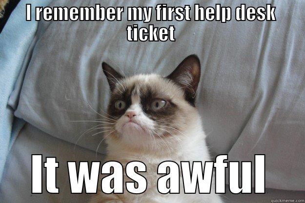 first help desk ticket - I REMEMBER MY FIRST HELP DESK TICKET IT WAS AWFUL Grumpy Cat