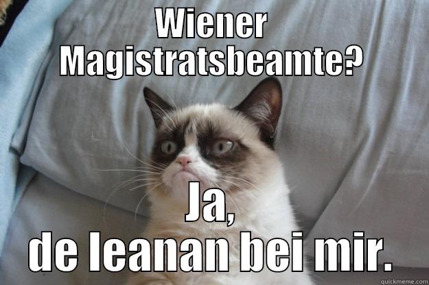 WIENER MAGISTRATSBEAMTE? JA, DE LEANAN BEI MIR. Grumpy Cat