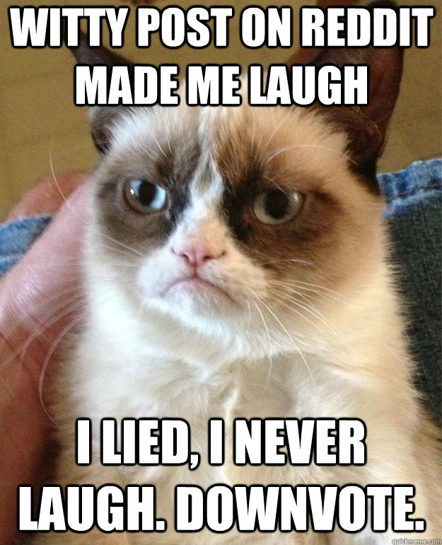 witty post on reddit made me laugh i lied, i never laugh. downvote.  Grumpy Cat