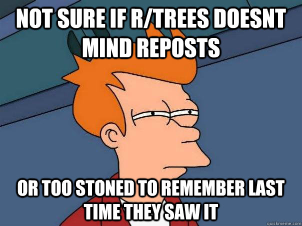 Not sure If r/trees doesnt mind reposts or too stoned to remember last time they saw it  Futurama Fry