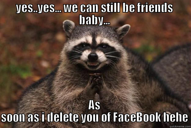 YES..YES... WE CAN STILL BE FRIENDS BABY... AS SOON AS I DELETE YOU OF FACEBOOK HEHE Evil Plotting Raccoon