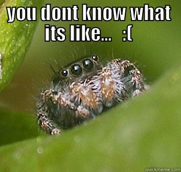 spider rights. - YOU DONT KNOW WHAT ITS LIKE...   :(  Misunderstood Spider