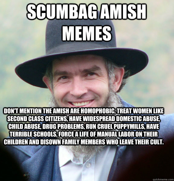 Scumbag Amish Memes Don't mention the Amish are homophobic, treat women like second class citizens, have widespread domestic abuse, child abuse, drug problems, run cruel puppymills, have terrible schools, force a life of manual labor on their children and  Good Guy Amish