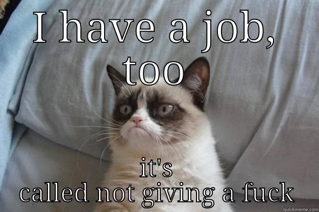 I HAVE A JOB, TOO IT'S CALLED NOT GIVING A FUCK Grumpy Cat