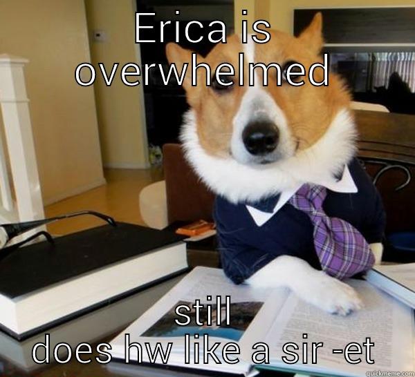 erica the puppy - ERICA IS OVERWHELMED STILL DOES HW LIKE A SIR -ET Lawyer Dog