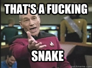 That's a fucking snake - That's a fucking snake  Annoyed Picard