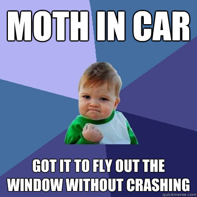 Moth in car  got it to fly out the window without crashing  Success Kid