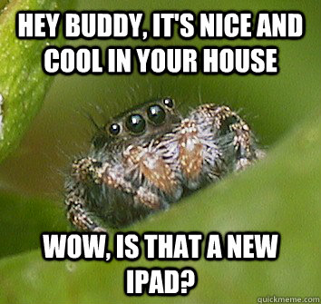 Hey buddy, It's nice and cool in your house wow, is that a new ipad?  Misunderstood Spider