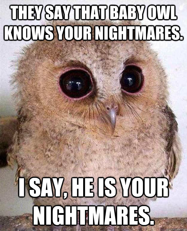 they-say-that-baby-owl-knows-your-nightmares-i-say-he-is-your