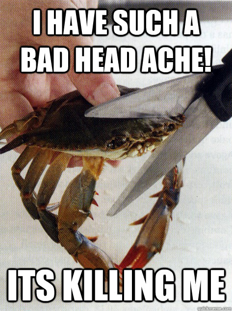 I have such a bad head ache!  Its killing me - I have such a bad head ache!  Its killing me  Optimistic Crab