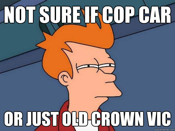 not sure if cop car Or just old crown vic  