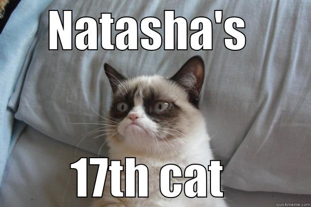 NATASHA'S  17TH CAT  Grumpy Cat