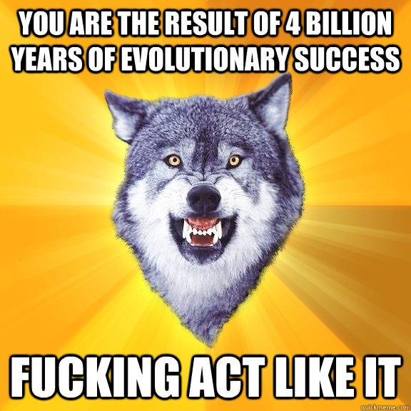 you are the result of 4 billion years of evolutionary success fucking act like it  Courage Wolf