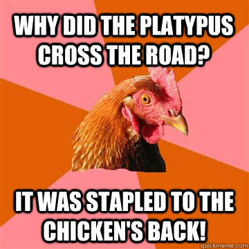 Why did the platypus cross the road? It was stapled to the chicken's back!  Anti-Joke Chicken