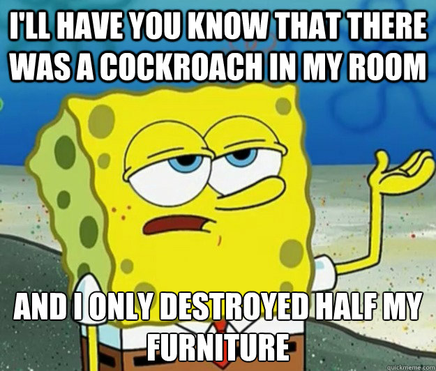 I'll have you know that there was a cockroach in my room And i only destroyed half my furniture - I'll have you know that there was a cockroach in my room And i only destroyed half my furniture  Tough Spongebob