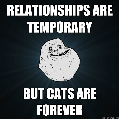 Relationships are temporary  but cats are forever    Forever Alone