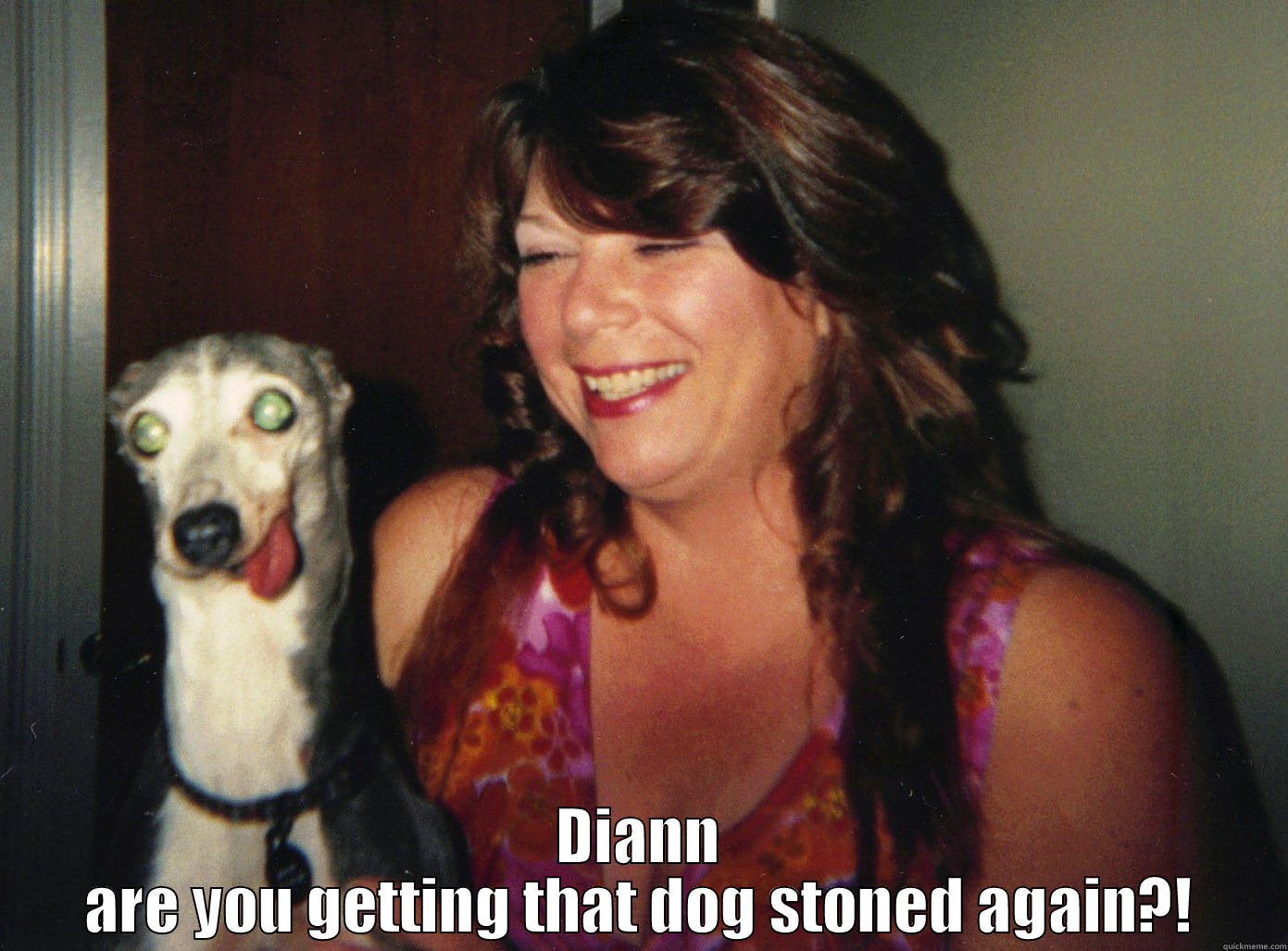 Stoner dog -  DIANN ARE YOU GETTING THAT DOG STONED AGAIN?! Misc